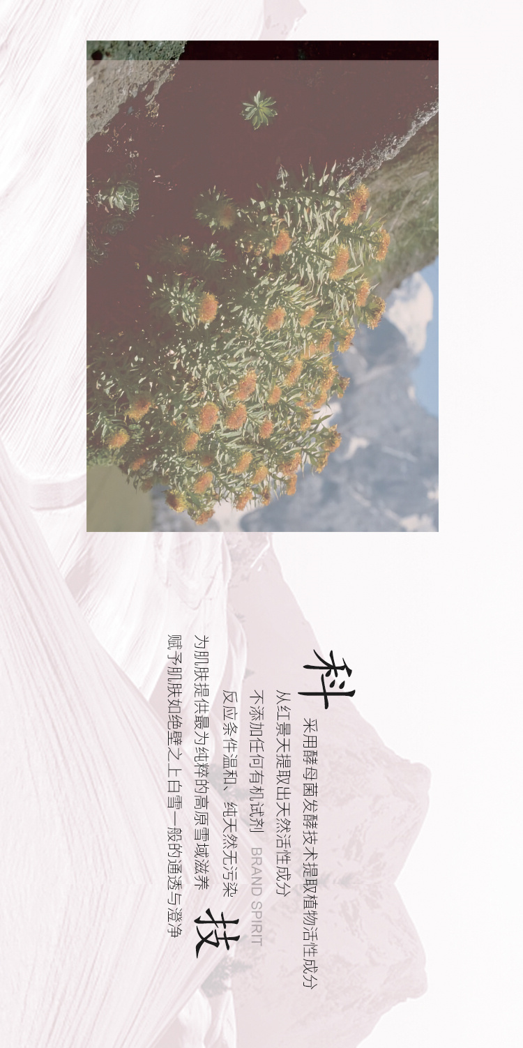 谜见公众号推文_05.jpg